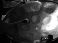 712b2cd963